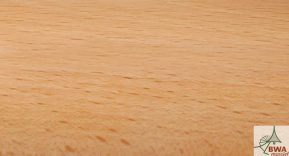 Houtsoort: Beukenhout